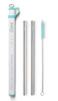 Double Stainless Steel Straw Set