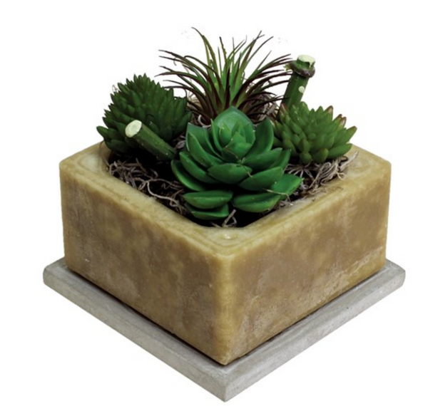 Prickly Pear and Aloe Wax Pottery Geo