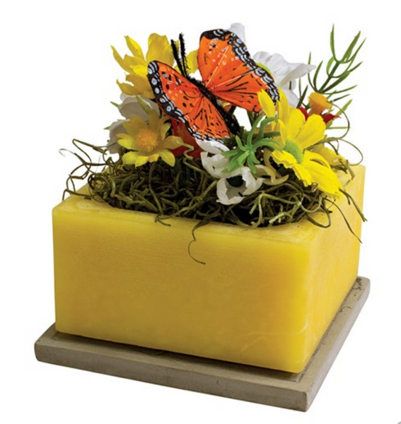 Monarch Migration Wax Pottery Geo