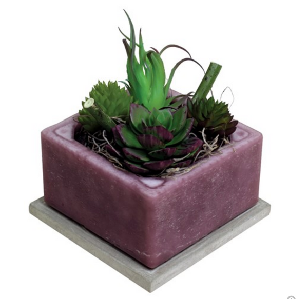 Blue Agave Wax Pottery Geo