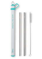 Double Stainless Steel Straw Set