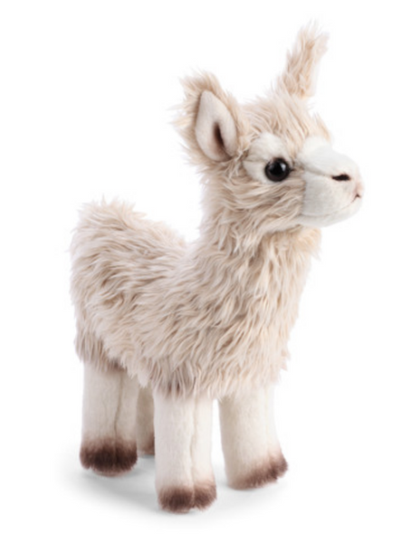 Llama Small
