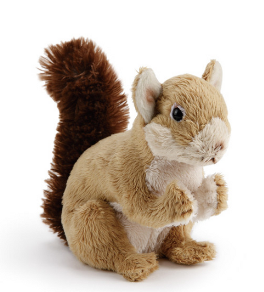 Squirrel Beanbag