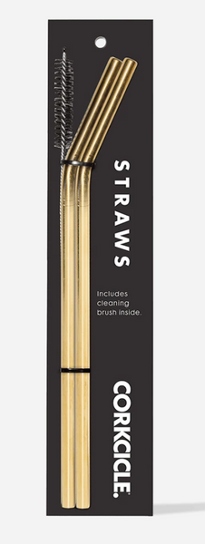 Gold Tumbler Straw 2-Pack